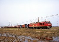 ef510-17.jpg (8283 oCg)